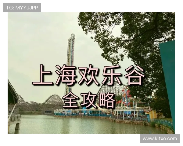 上海暑期千池开放！清凉畅泳指南，全家消暑攻略来袭