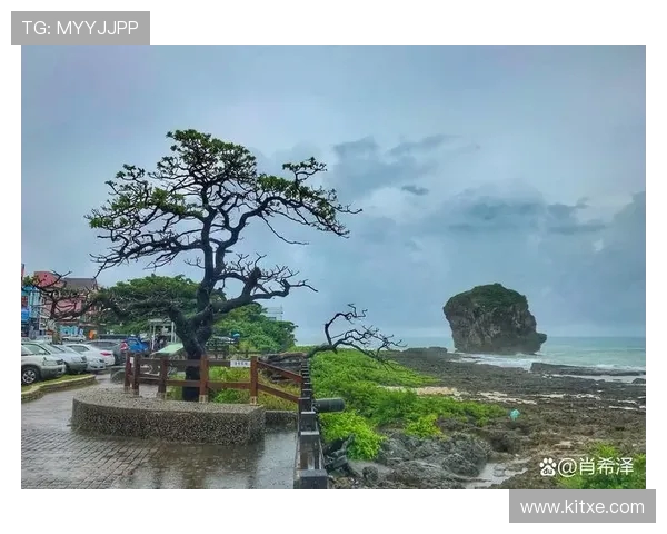 小扑震撼全网!这部生态纪录片让无数人泪目